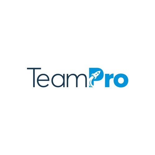 SEO logo with the title 'Team Pro'