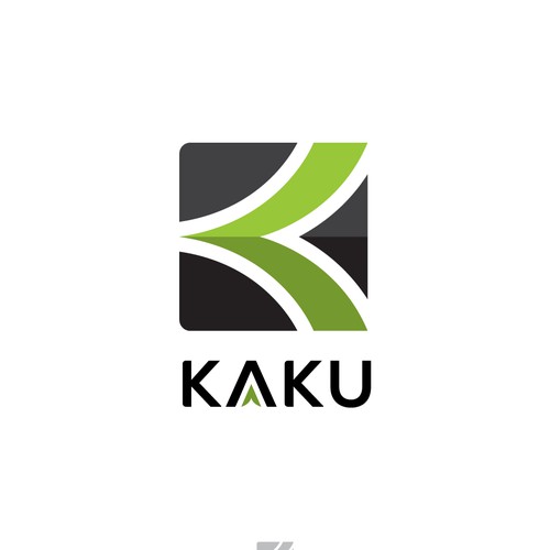 Accounting brand with the title 'KAKU logo Design'