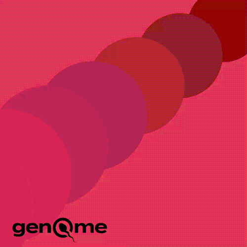 Weebly design with the title 'Web Design Collection'