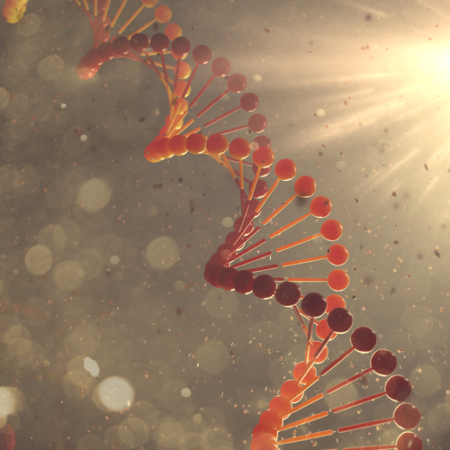 Medical artwork with the title 'dna'