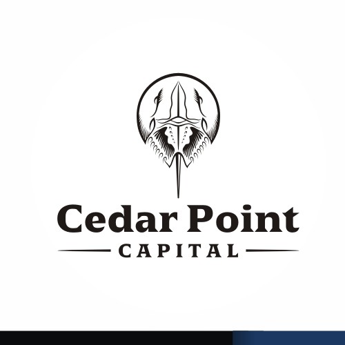 Capital logo with the title 'Cedar Point Capital'