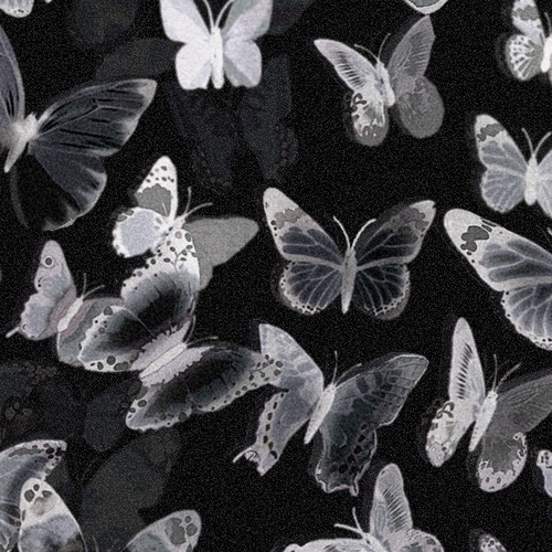 Fashion packaging with the title 'X-Ray Butterfly Design 2'