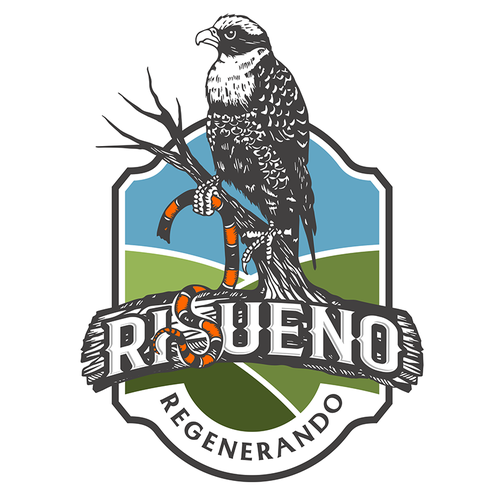 Falcon logo with the title 'Falcon with headless snake - regenerative agriculture'