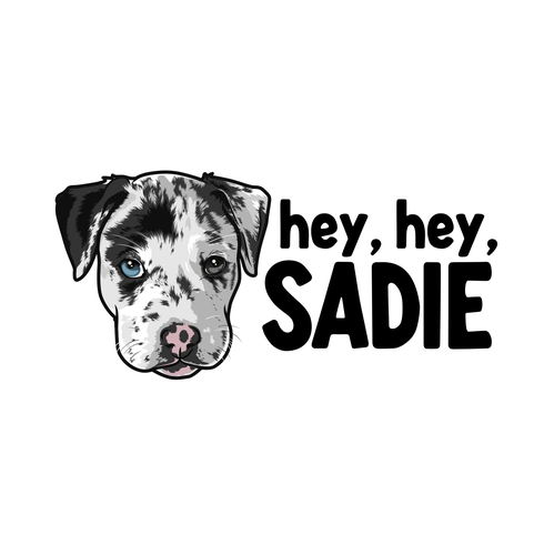 Pitbull logo with the title 'hey, hey, Sadie'