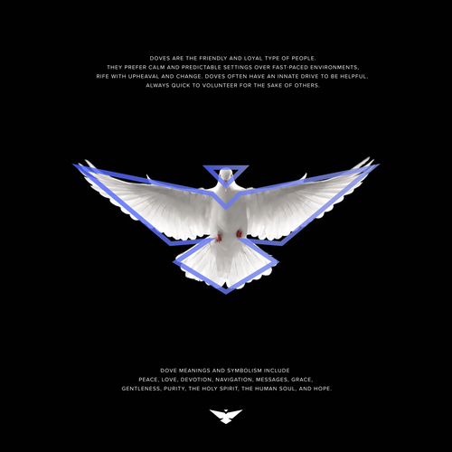 Dove design with the title 'Logo for WagePlan'