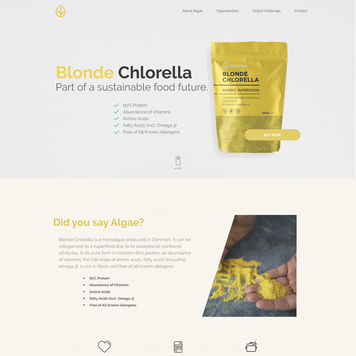 Custom website with the title 'Food Company Website'