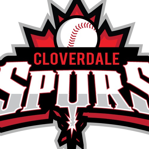 Baseball logo with the title 'baseball team logo'