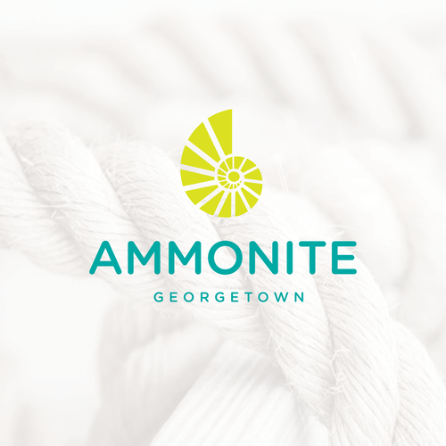 Marine logo with the title 'logo concept for a new superyacht'