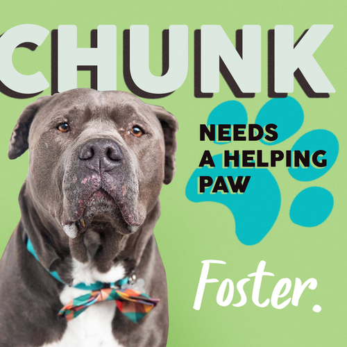 Instagram ad design with the title 'Facebook Instagram Ad'