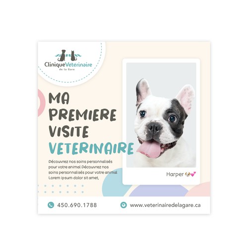 Animal design with the title 'Facebook post templates for Clinique Vétérinaire de la Gare'