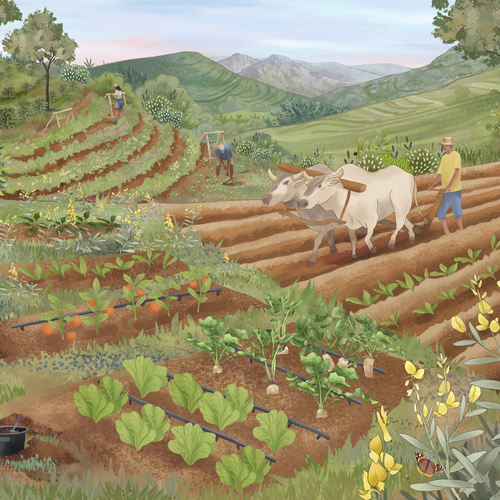 Plant illustration with the title 'Soil illustration '
