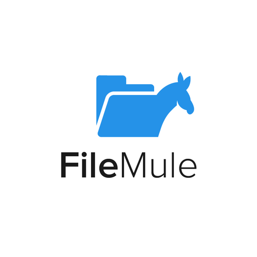 Discover logo with the title 'File Mule'