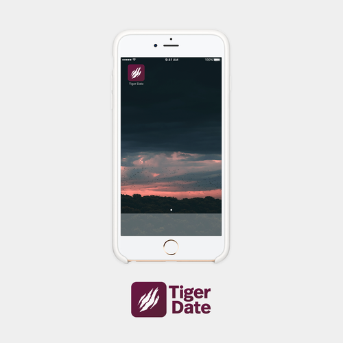 Tiger brand with the title 'Tiger Date Icon Concept'