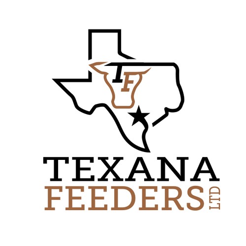 Texas logo with the title 'Classic Logo for a Texas based cattle operation'