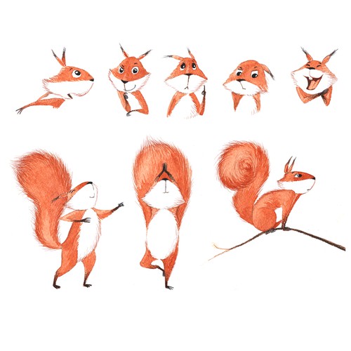 Squirrel design with the title 'Squirrel character illustration'