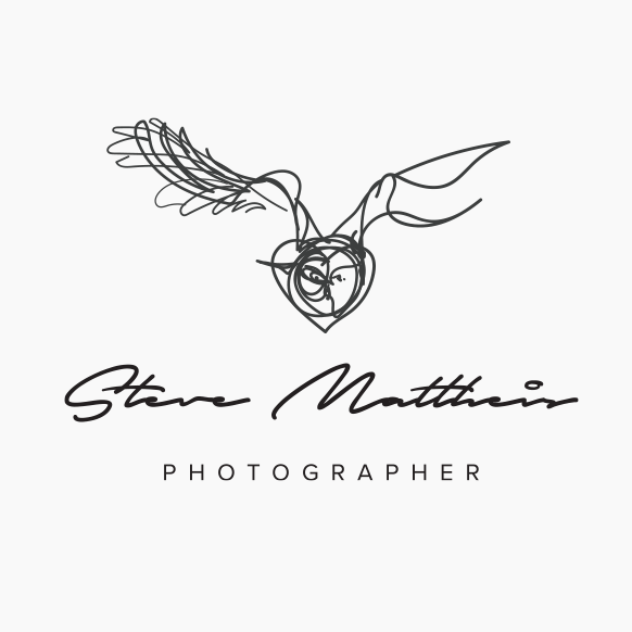 Photographer design with the title 'Owl in motion.'