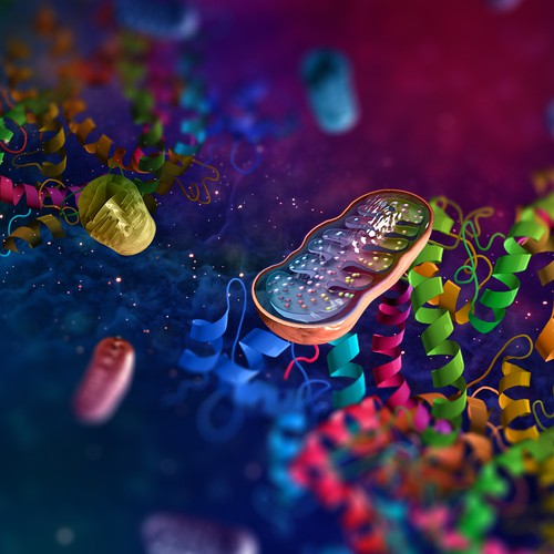 Research design with the title 'Enzyme proteins Zoom background.'