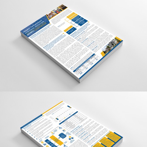 Document design with the title 'SOMO Document Design'