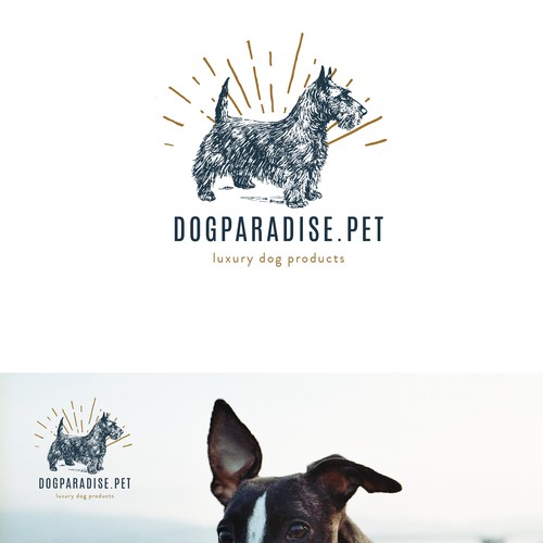 Paradise logo with the title 'DOGPARADIE.PET'