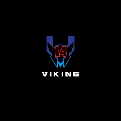 Viking logo with the title 'VIKING 14'