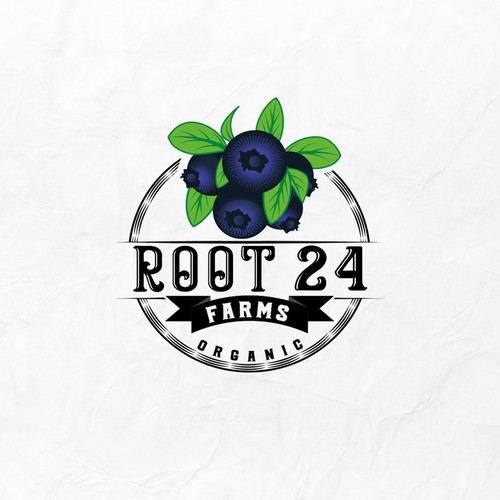 Blueberry logo with the title 'Root 24 Farms Logo'