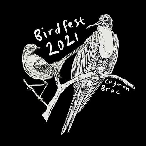 Bird artwork with the title 'birdfest'