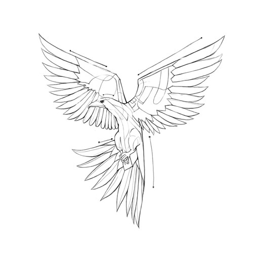 Hawk design with the title 'Hawk Tattoo'