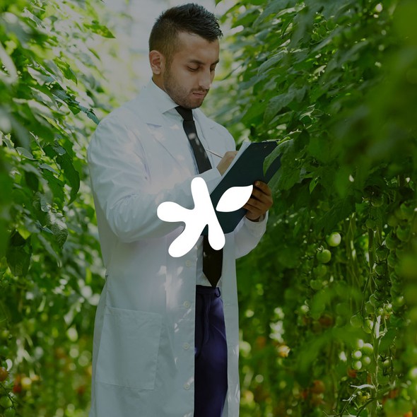 Agriculture brand with the title 'Da Fresh'