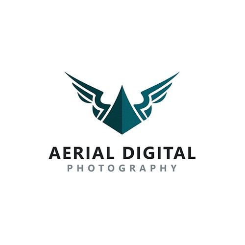 Aerial logo with the title 'Aerial Photography Logo Design'