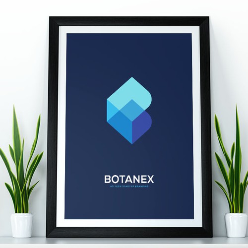 B logo with the title 'Botanex'