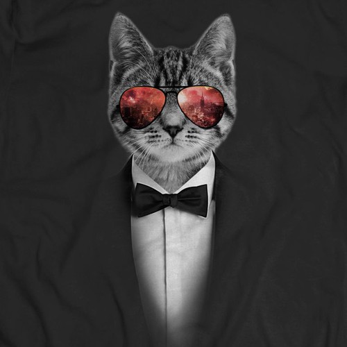 Cat wearing hotsell t shirt