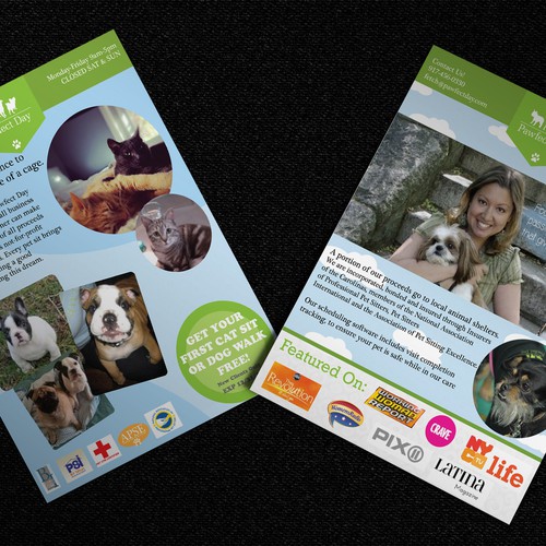 Walking design with the title 'Pawfect Day Flyer'