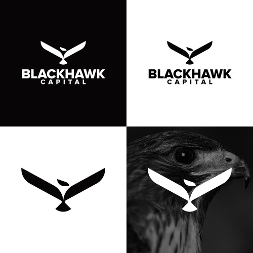 Falcon logo with the title 'Hawk Logo'