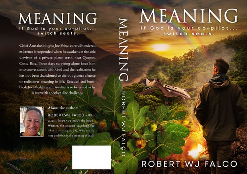 Hope design with the title 'Book cover for the novel MEANING'