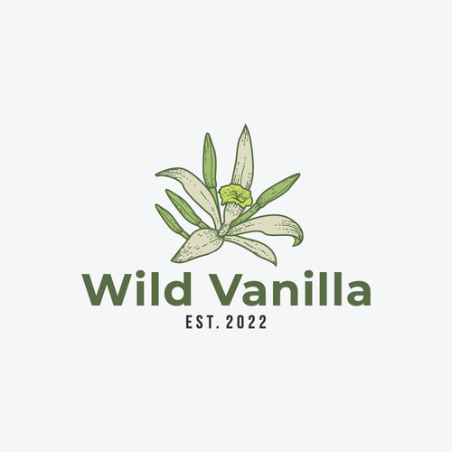 Orchid logo with the title 'wild vanilla'
