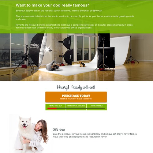 Fun website with the title 'Landing Page Design for RoverToTheRescue.com'