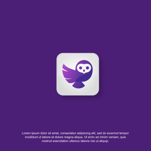 Social media logo with the title 'Logo design for Socialwise'