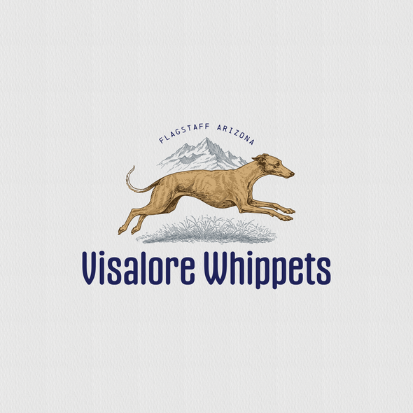 Breeder design with the title 'Visalore Whippets'