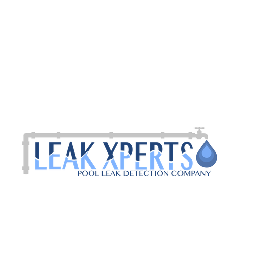 Cleaning services logo with the title 'for "modern & fun" pool leak company'
