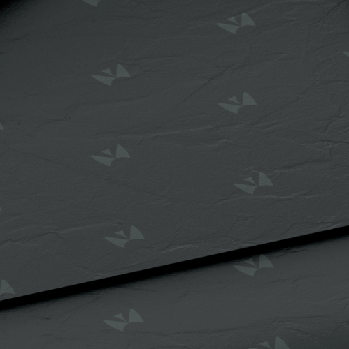 Gold crown logo with the title 'Brandmark-NR0043'