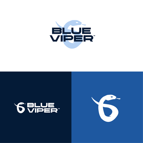 Viper design with the title 'Blue Viper - Logo concept'