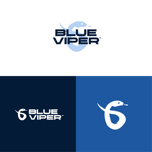 Viper logo with the title 'Blue Viper - Logo concept'