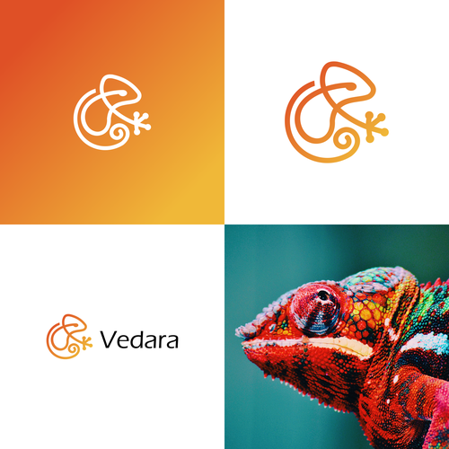 Chameleon logo with the title 'Chameleon'