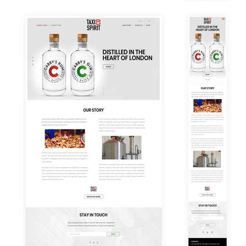 Ecommerce website with the title 'Website Design'