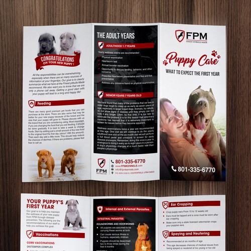 Pitbull design with the title 'Brochure Puppy Care'