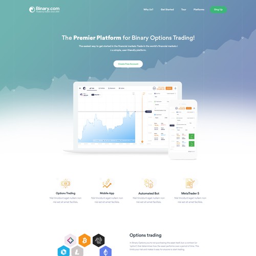 Accounting website with the title 'Binary.com re-design'