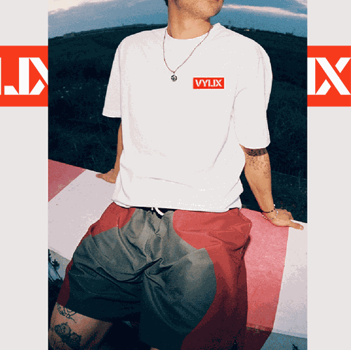 Stencil design with the title 'Vylix'