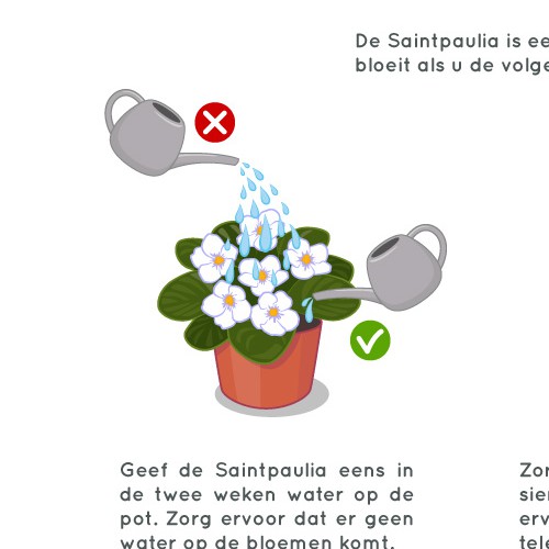 Flower artwork with the title '"How to take care of plants" illustration'