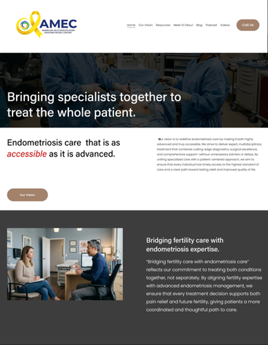 Design with the title 'Optimisation of amecendo.com'
