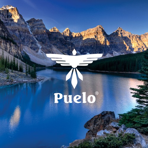 Heavy equipment logo with the title 'Puelo logo design'